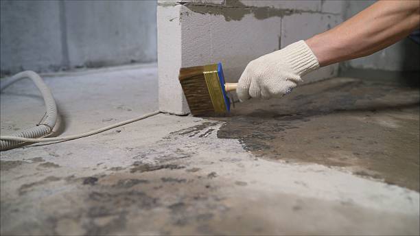 SJ Waterproofing Pros Waterproofing coverage map for Forestville, MD and surrounding area